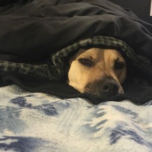 Meet your Posher, Brandy